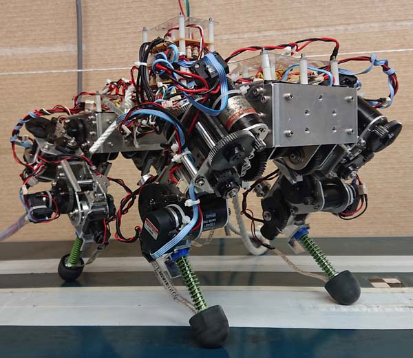 Quadruped Robot 
